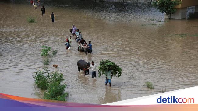 Banjir Melanda New Delhi, Sungai Yamuna Meluap Akibat Hujan Monsun
