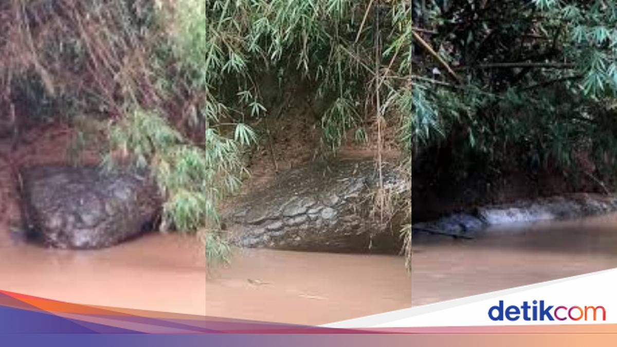 Batu Mirip Ular Raksasa di Thailand Jadi Sorotan, Warga dan Netizen Heboh!